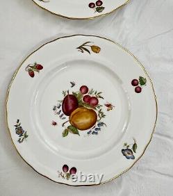 Set of 15 Royal Worcester DELECTA Fruit Dinner Plates and Salad Plates, England