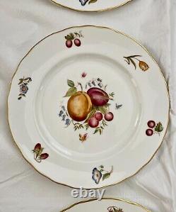 Set of 15 Royal Worcester DELECTA Fruit Dinner Plates and Salad Plates, England