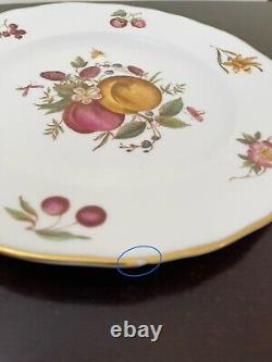 Set of 15 Royal Worcester DELECTA Fruit Dinner Plates and Salad Plates, England