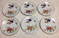 Set of 6 Royal Worcester Evesham Gold Dinner Plates 10-1/8 EUC