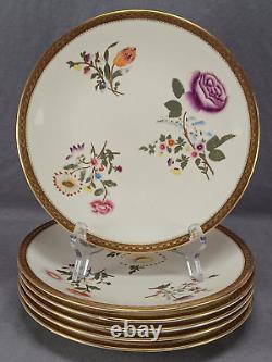 Set of 6 Royal Worcester With773 Hand Painted Floral Ivory Gold 9 1/8 Inch Plates