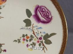 Set of 6 Royal Worcester With773 Hand Painted Floral Ivory Gold 9 1/8 Inch Plates