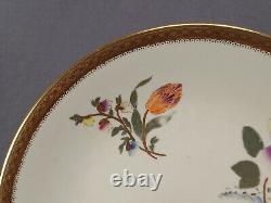 Set of 6 Royal Worcester With773 Hand Painted Floral Ivory Gold 9 1/8 Inch Plates