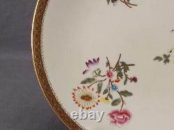 Set of 6 Royal Worcester With773 Hand Painted Floral Ivory Gold 9 1/8 Inch Plates