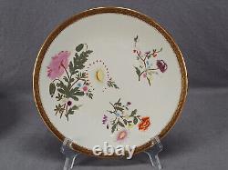 Set of 6 Royal Worcester With773 Hand Painted Floral Ivory Gold 9 1/8 Inch Plates