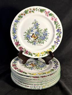 Set of 8! Royal Worcester Herbs Dinner Plates-Butterfly Rosemary-10 in. VGUC