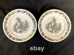 Set of 8! Royal Worcester Herbs Dinner Plates-Butterfly Rosemary-10 in. VGUC