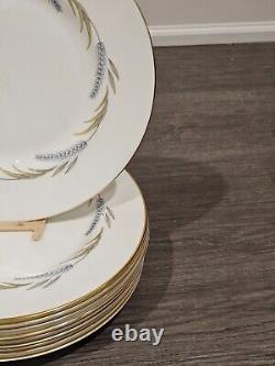 Set of TEN Royal Worcester Harvest Ring 10 1/2 Dinner Plates EXC