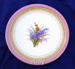 Signed Royal Worcester Pink Hand Painted Cabinet Plates-Set of 7