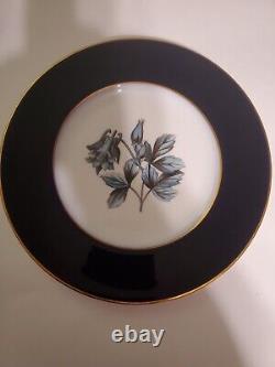 Vintage Royal Worcester Dinner Plate Set Assorted Flowers in Blue