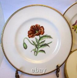 Vtg SET 6 PLATES Hand Ptd ROYAL WORCESTER ENGLAND Botanical FLOWER Williamson