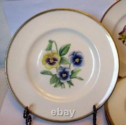 Vtg SET 6 PLATES Hand Ptd ROYAL WORCESTER ENGLAND Botanical FLOWER Williamson