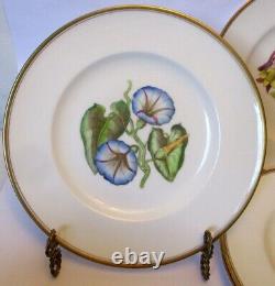 Vtg SET 6 PLATES Hand Ptd ROYAL WORCESTER ENGLAND Botanical FLOWER Williamson