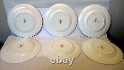 Vtg SET 6 PLATES Hand Ptd ROYAL WORCESTER ENGLAND Botanical FLOWER Williamson