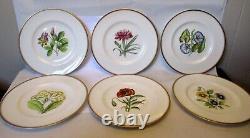 Vtg SET 6 PLATES Hand Ptd ROYAL WORCESTER ENGLAND Botanical FLOWER Williamson