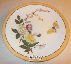 Worcester / Royal Worcester 1885 10 Color Rimmed Butterfly & Flower Plates 9 1/8